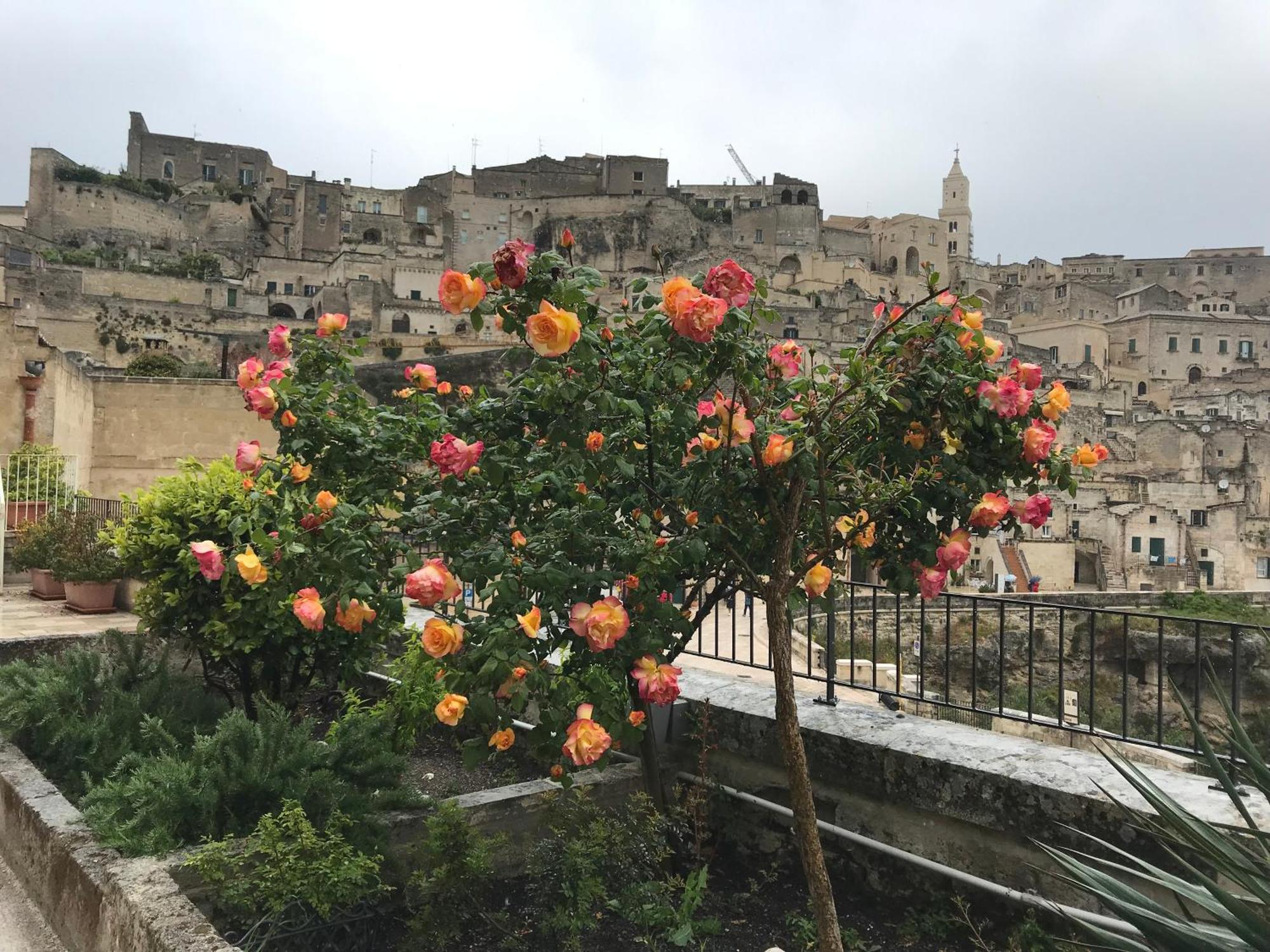 Bed and Breakfast La Corte Dei Pastori Matera Exterior foto